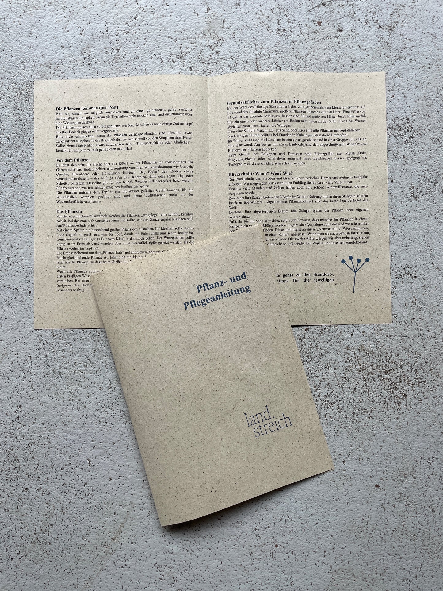Staudenpaket: Hitzeprofis - Landstreich´s Choice