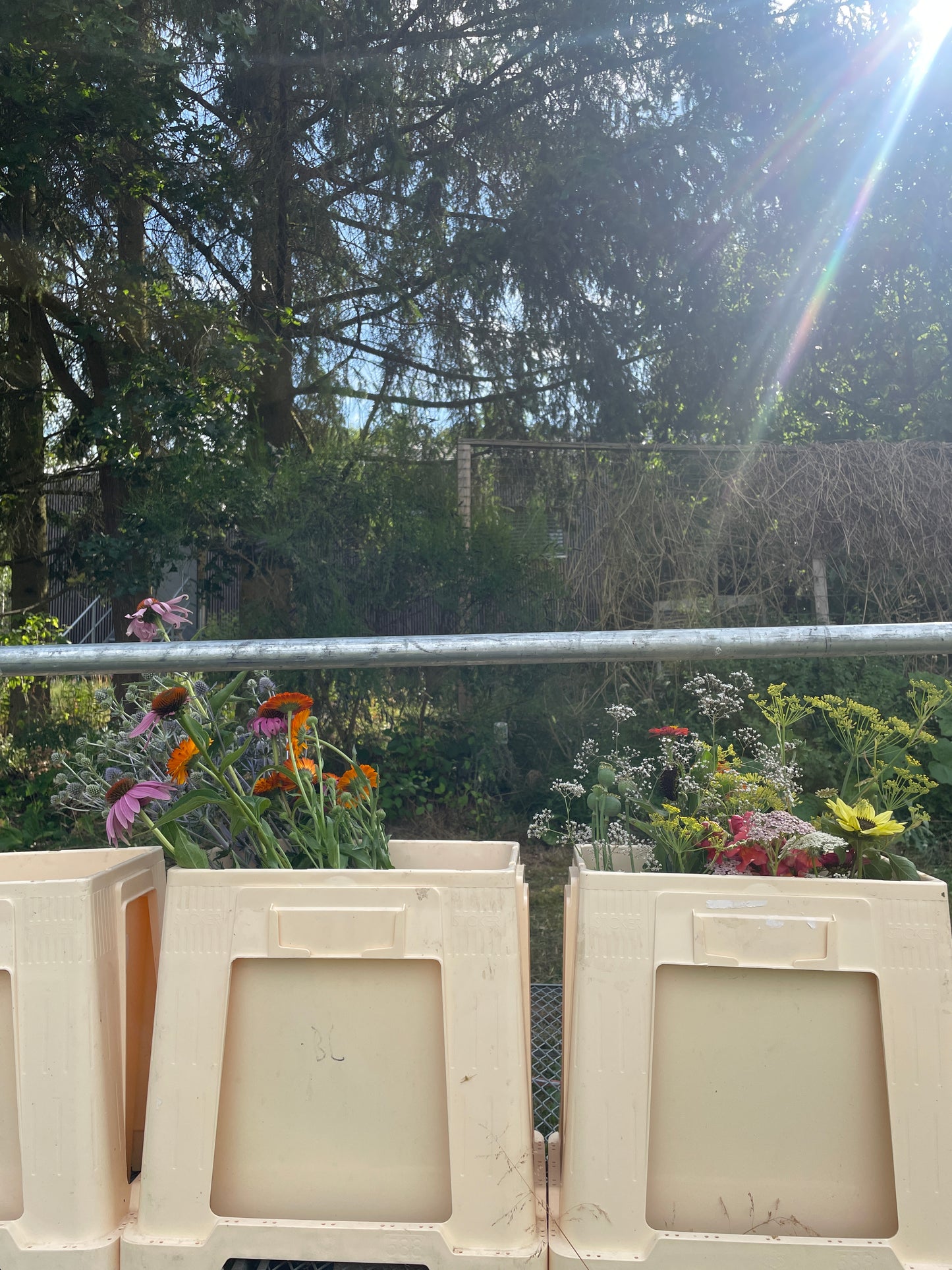 Blumenclub - Pflück dir deinen Strauß